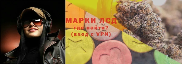 СК Медногорск