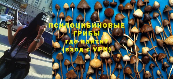 шишки Баксан