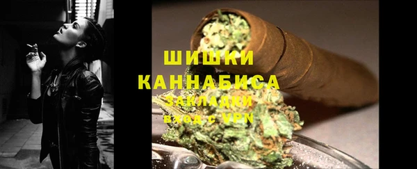шишки Баксан