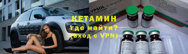 крисы Мегион