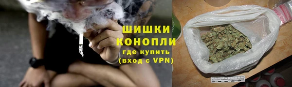 крисы Мегион