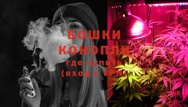 шишки Баксан