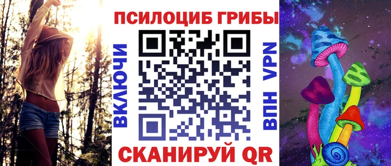 Галлюциногенные грибы прущие грибы  Петровск-Забайкальский 